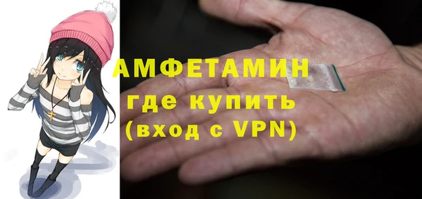 амф Бородино