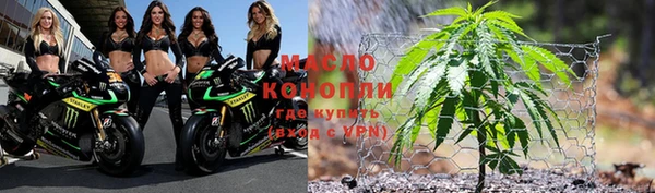 амф Бородино