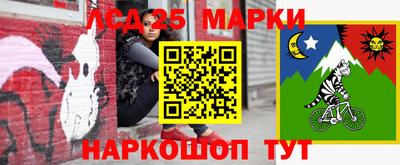 хмурый Гудермес