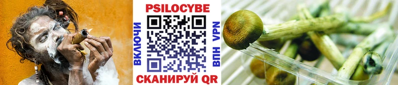 Галлюциногенные грибы Cubensis  Вятские Поляны 