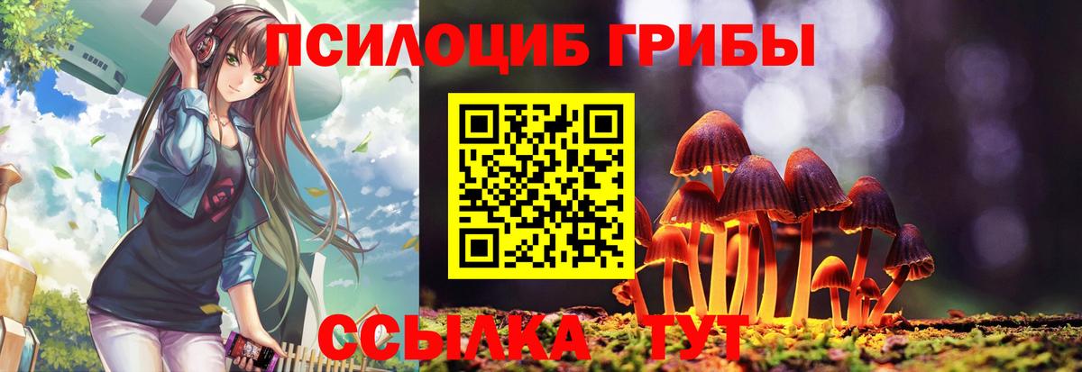 Вятские Поляны  Галлюциногенные грибы Cubensis  Вход с VPN 